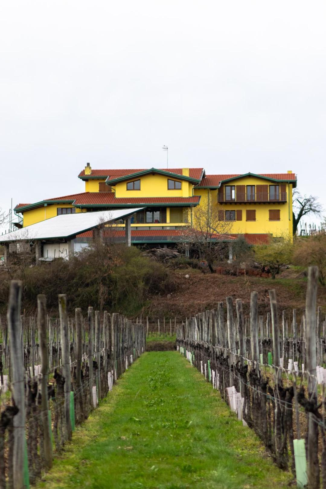 Agriturismo Nema Mossa Buitenkant foto